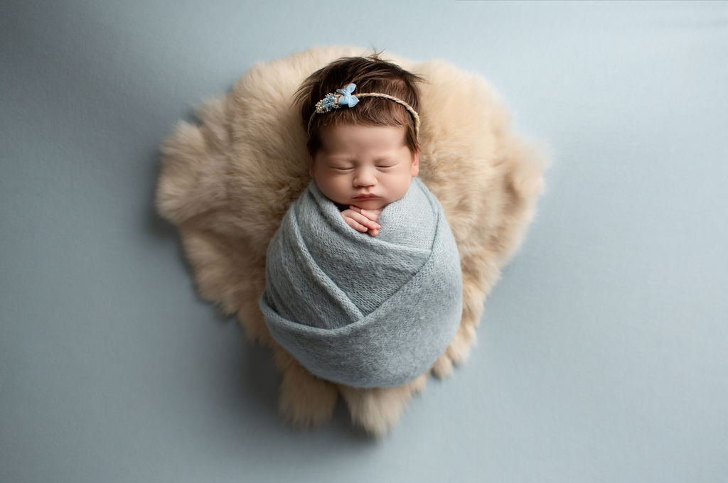 book denver newborn photos
