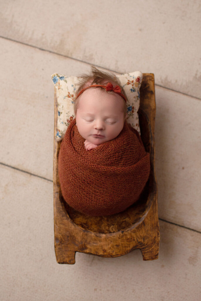 newborn photographers fort collins