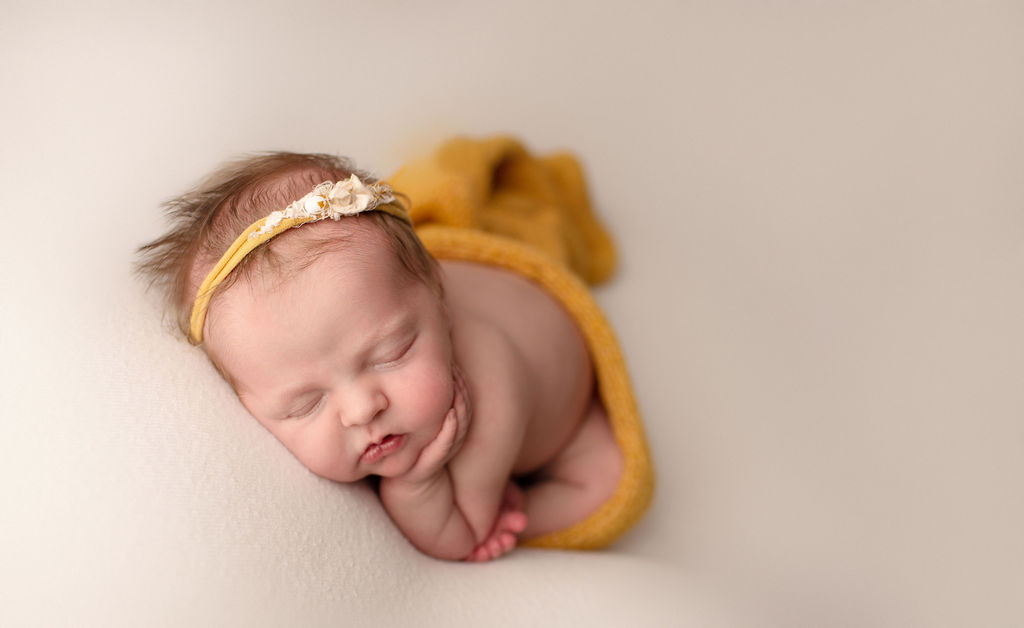 fort collins newborn photographer