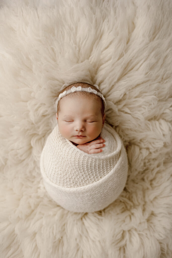 denver newborn portraits