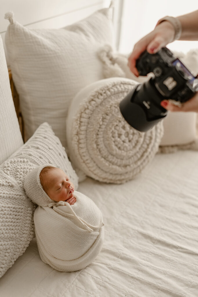 newborn photos denver