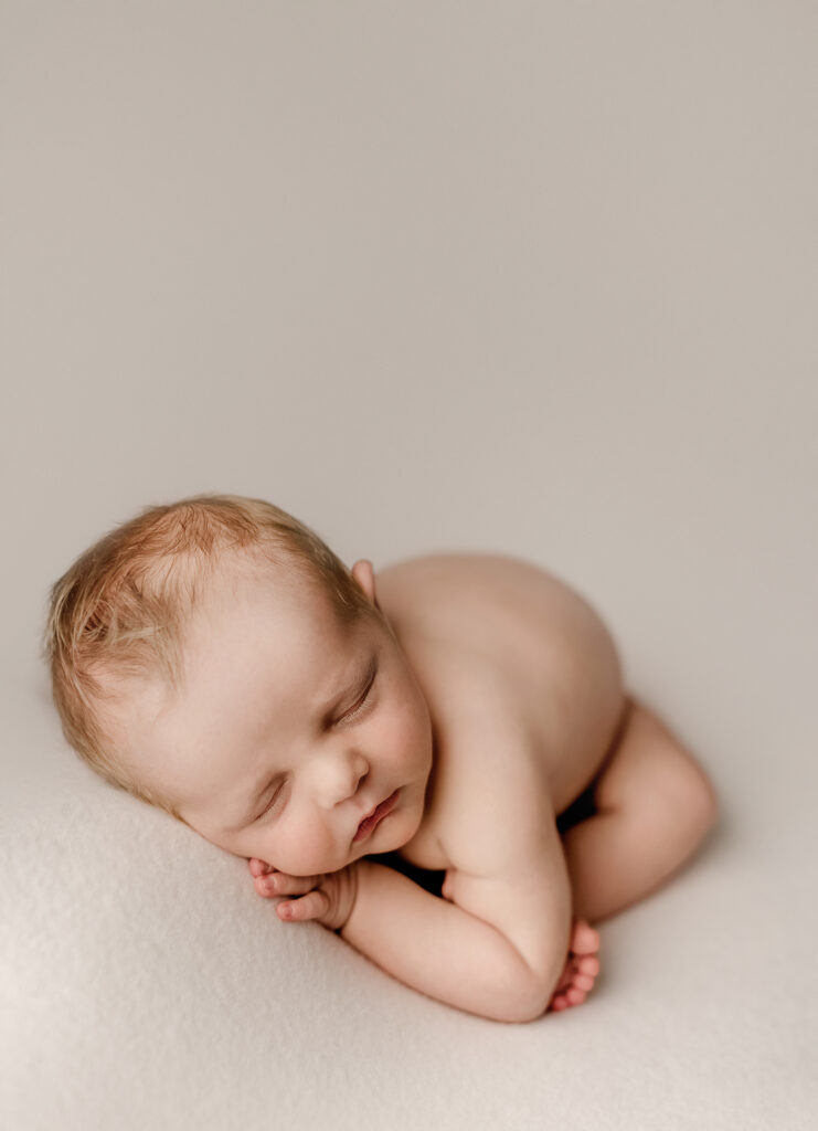 studio photos denver newborn