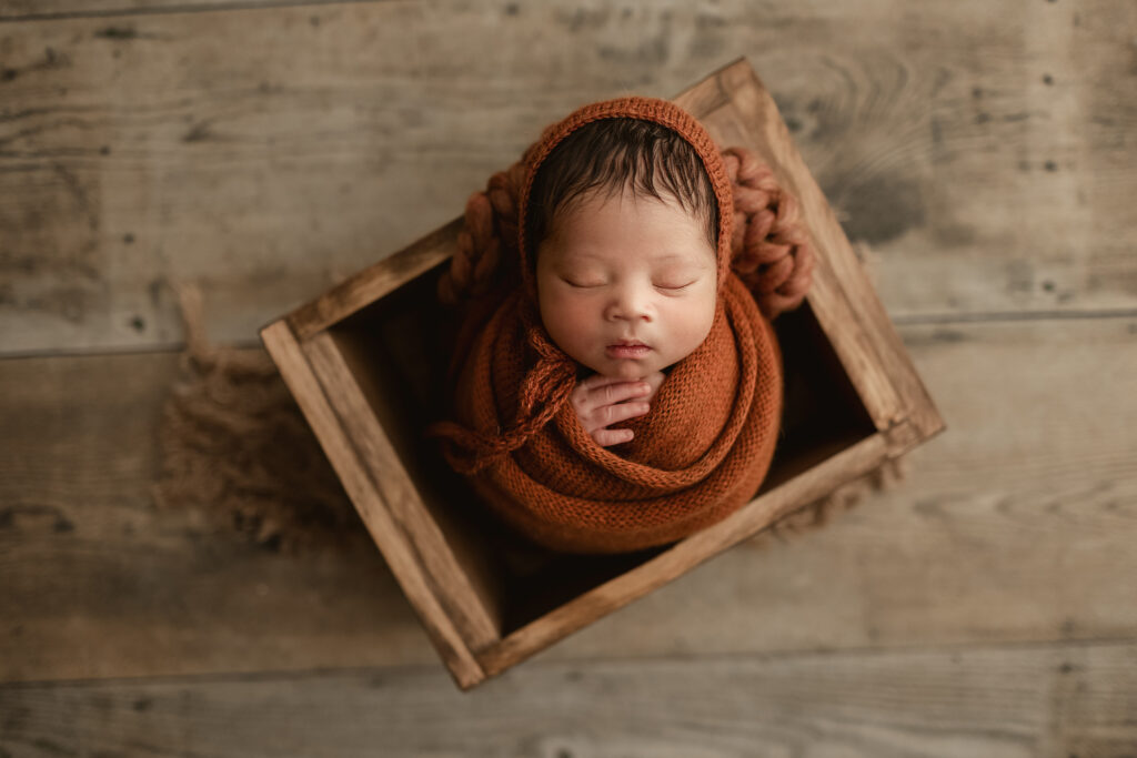 denver newborn photography 