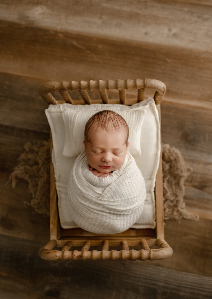 denver newborn photographers