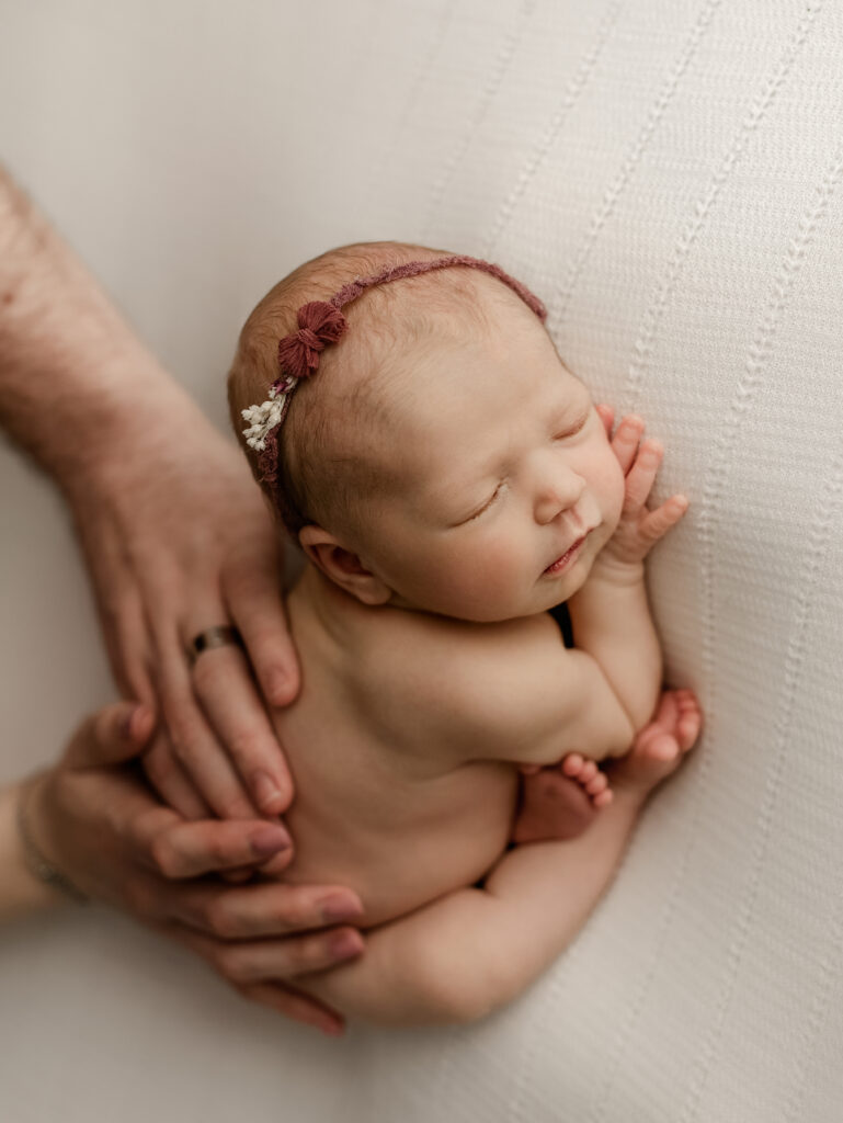 newborn photographer denver