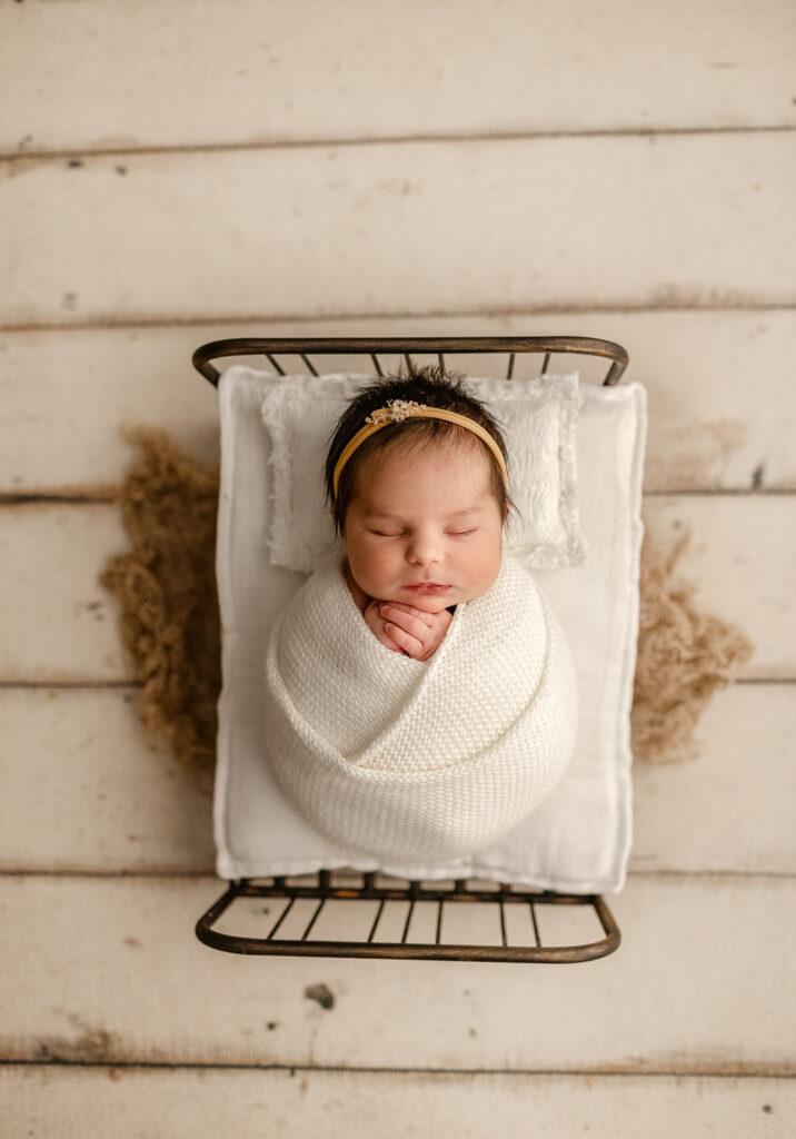 newborn photographer denver