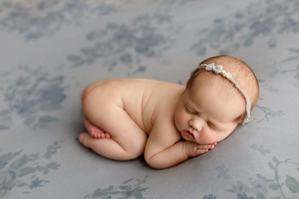newborn photography studio denver