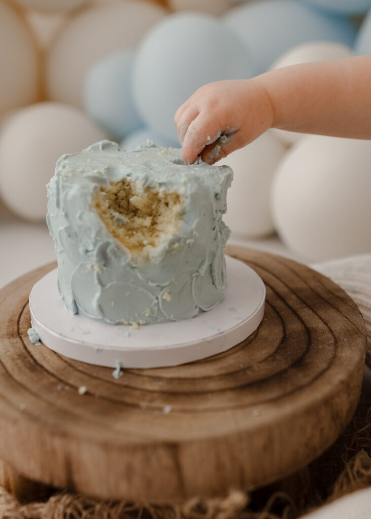 baby milestone portraits before cake smash session