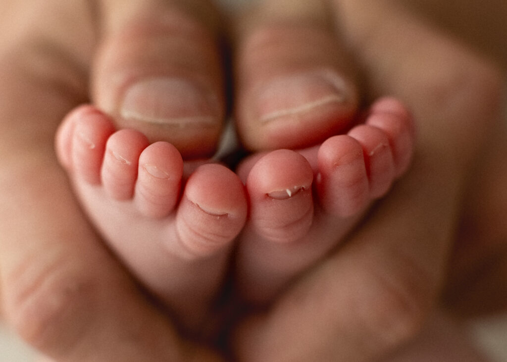 posed newborn baby wrapped and sleeping in neutral studio photography setup